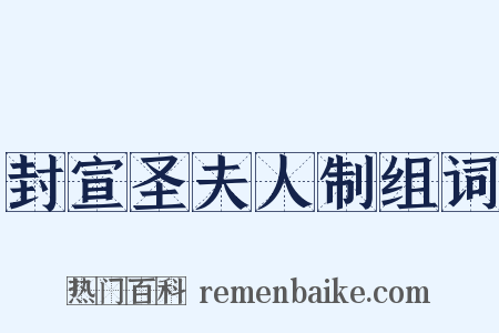 封宣圣夫人制组词是什么意思的图片